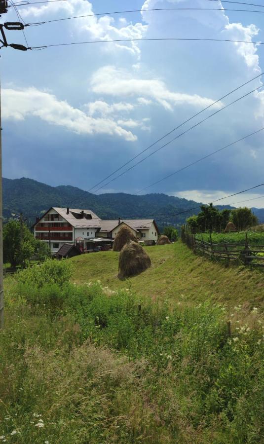 Casa De Vacanta Perla Colibitei โกลีบิตซา ภายนอก รูปภาพ