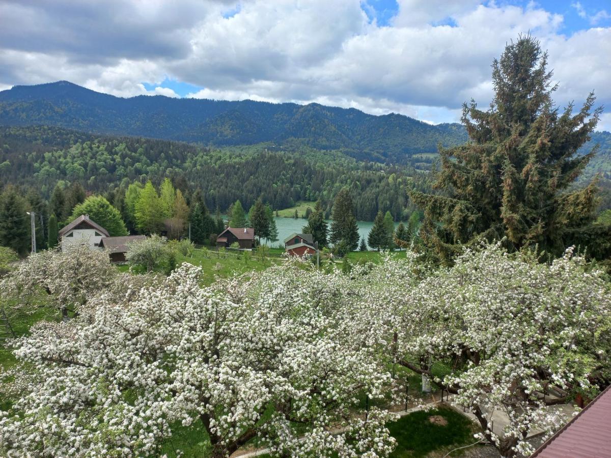 Casa De Vacanta Perla Colibitei โกลีบิตซา ภายนอก รูปภาพ